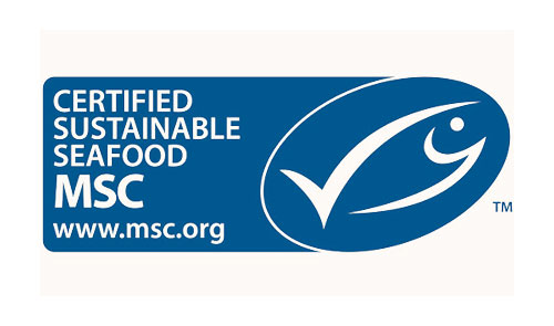 msc-1 msc-1