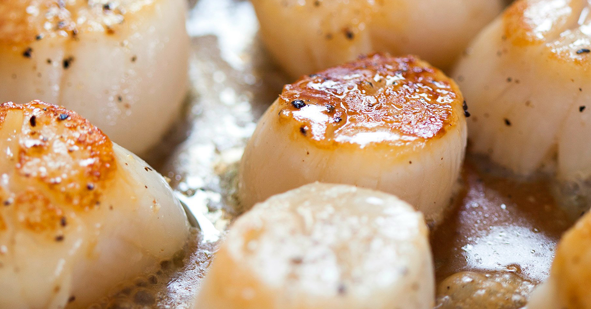 Three Minute Scallops PanaPesca USA