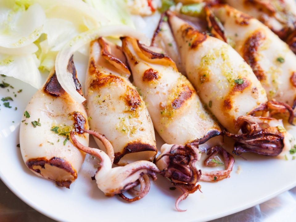 Calamari Recipes to Try This Month